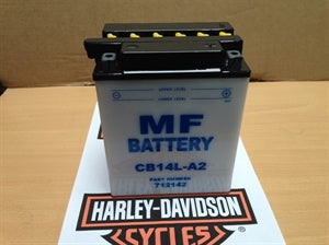 Battery Standard 14 AH