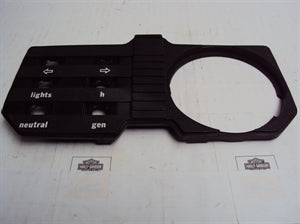 Dash Panel Bare (84750181)