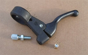 Decompressor Lever Assembly (84760370)