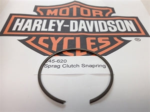 Sprag Clutch Snapring